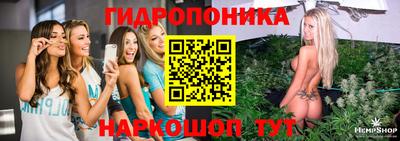 apvp Кинель