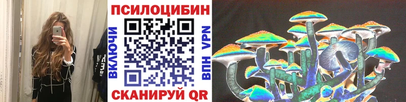 Галлюциногенные грибы Psilocybine cubensis  Сухой Лог 